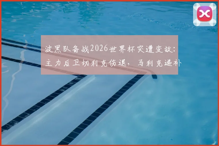 波黑队备战2026世界杯突遭变故：主力后卫切利克伤退，马利克递补入选前景分析