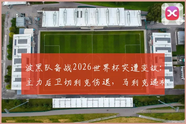 波黑队备战2026世界杯突遭变故:主力后卫切利克伤退,马利克递补入选前景分析